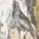 Blanco 2