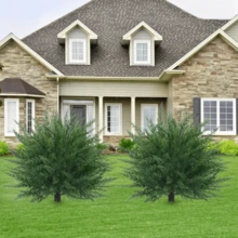 1/2 Pack Artificial Plants For Outdoor,  Artificial Cedar Topiary Tree With Ground Spike, UV Resistant Potted Fake Plants With Cement Planter, Faux Cedar Shrubs Evergreen Plants For Indoor Outdoor Front Porch Garden Backyard Decor - 墨綠色 - 查看 14