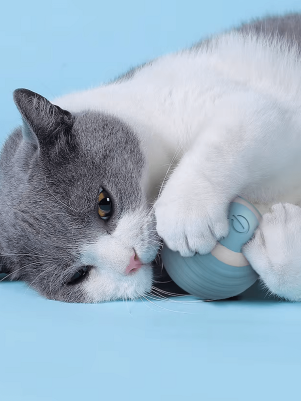 Bola Elétrica Automática Rotativa para Gatos e Cães: Brinquedo Interativo para Treinamento