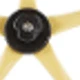 10FT 1000LBS Age 3-10