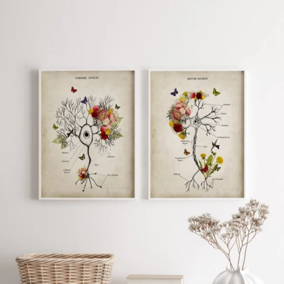 2 Neuronal Floral Anatomy Art Prints, Exquisite Fine Art Reproductions, Neuroscience Wall Decor For Living Rooms, Bedrooms, Offices, And More-Ideal Holiday Gifts, Mural Decor, Posters, Birthday Presents, And Graduation Gifts-Canvas Material (Optional Framing Available)