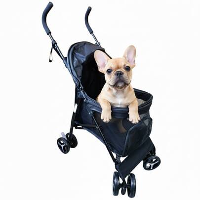 Carrinho Pet Passeio Cães E Gatos Com Guia Até 15kg Passeio