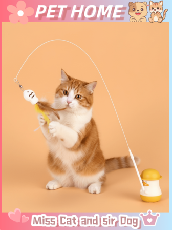 逗猫玩具，配有逗猫棒，吸引猫咪注意力的玩具，猫咪最喜欢的玩具，经我们自己家猫认证