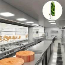 1pc Transparent Vegetable/Herb Refrigerator Storage Box, Plastic Material, No Battery Required, Can Add Water, Keeps Fresh 3-5 Days, Suitable For Cilantro, Asparagus, Cucumber, Carrot And Other Ingredients, Essential Kitchen Tool - White - View 7