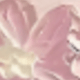 彩色