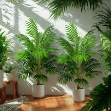 1 شجرة نخيل اصطناعية كبيرة الحجم 51 بوصة - 12/18/24 ورقة، مثالية لديكور المتجر والحديقة والديكور الداخلي والخارجي والديكور الريفي وديكور المنزل الجديد والمدخل - مناسبة لعيد العمال وعيد الأم وعيد الجنود الأمريكيين وعيد الأب واليوم الوطني وحفلات التخرج والأعراس وعيد الأجداد والعيد الإسلامي والأعياد الوطنية وعيد الهالوين وعيد الميلاد وأفضل ديكور عيد الميلاد - أخضر - مشاهدة 12