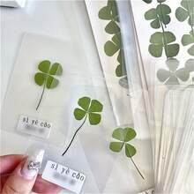 Tarjeta postal de trébol de cuatro hojas transparente, adecuada para aniversario, Acción de Gracias, Pascua - Marcador de libros floral, decoración de regalo, papelería para vacaciones, estilo minimalista y elegante, foto visible