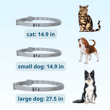 Flea & Tick Collar – Cats, Small Dogs & Large Dogs, Long Lasting 8 Month Supply, Waterproof & Odorless - 小型犬(18磅以下) - 查看 2