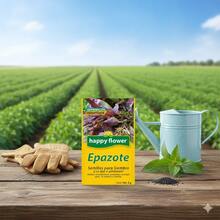 Pack de 6 Semillas de Epazote Happy Flower – Germinación Garantizada (2 g c/u) - Amarillo - Ver 4