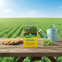 paquete de 6 semillas de alfalfa Happy Flower germinacion garantizada 5 g cada bolsa semillas alfalfa paquete 6 porciones alta calidad garantia germinacion cultivo rapido nutriente para animales germinados aroma fresco ideal para huertos urbanos y proyectos educativos escolares - Amarillo - Ver 4