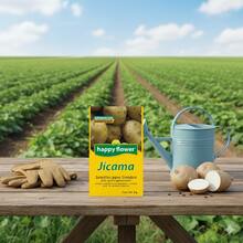 Pack de 6 Semillas de Jícama Happy Flower – Germinación Garantizada (4 g c/u) - Amarillo - Ver 4