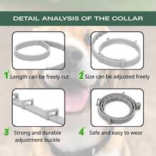 Flea & Tick Collar – Cats, Small Dogs & Large Dogs, Long Lasting 8 Month Supply, Waterproof & Odorless - 小型犬(18磅以下) - 查看 6
