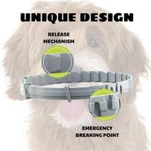 Flea & Tick Collar – Cats, Small Dogs & Large Dogs, Long Lasting 8 Month Supply, Waterproof & Odorless - 小型犬(18磅以下) - 查看 4