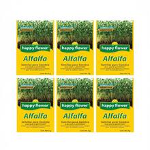 paquete de 6 semillas de alfalfa Happy Flower germinacion garantizada 5 g cada bolsa semillas alfalfa paquete 6 porciones alta calidad garantia germinacion cultivo rapido nutriente para animales germinados aroma fresco ideal para huertos urbanos y proyectos educativos escolares - Amarillo - Ver 1