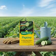 paquete de 6 semillas de pepino Happy Flower germinacion garantizada 1 g cada bolsa semillas pepino paquete 6 variedades happy flower garantia germinacion semillas de calidad para huerto huerto urbano balcon cultivo facil siembra directa riego controlado ideal para jardineros principiantes - Amarillo - Ver 4