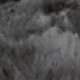 Smoky Gray