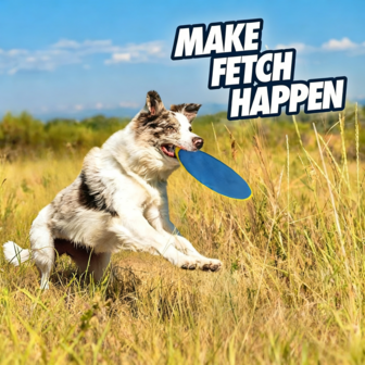 2 件狗狗飞盘玩具 - 超耐用，重约 106 克 - 600D 牛津布飞盘，防咬且易洗，鲜艳的黄蓝色，适合拉布拉多犬、金毛犬、德国牧羊犬、边境牧羊犬、贵宾犬互动取物