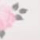 WILD ROSE