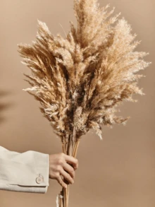 5/10/20 Stücke 22,83 Zoll Boho Dekor, Flauschiges Pampasgras, Natürliches getrocknetes kleines kurzes Pampasgras Großhandel, Boho Zimmer Dekor, Couchtisch Dekor, Frühling Geschenk Dekor