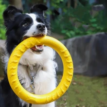 1PC Silicone Dog Toy Ring, Interactive Small Tug Ring, Teething Toy For Dogs, Suitable For Large And Small Breeds, Bite-Resistant Dog Toy, Teeth-Friendly, Recommended Gift For Graduation Season, Dog's Birthday Party, Christmas And Halloween