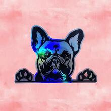 WickedGoodz French Bulldog Holographic Decal, 100% Waterproof PVC Bumper Sticker, Self-Adhesive, Asymmetrical Shape, For Laptops, Tumblers, Windows, Cars, Trucks, Walls, Suitable For Wood, Plastic, Glass, Metal, - Multicolor - View 11