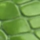 Màu xanh Bạc hà