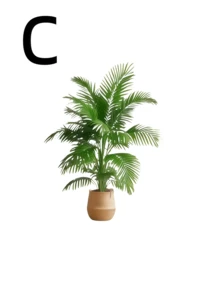 4-Piece Set - Large Artificial Green Plant Palm Tree Set With 48 Large Leaves; Christmas Decoration, Modern Wedding Garden Decoration; Maintenance-Free Evergreen Wealth Tree Artificial Plant, Suitable For All Seasons; Potted Christmas Tree It Is Suitable For Festivals Such As Thanksgiving, Halloween - Multicolor - View 16