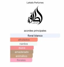 Lattafa Perfume - Multicolor - View 2