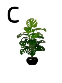 一套四件，包含48株大叶仿真植物。适合户外使用——宽叶热带雨林装饰树，全年室内外盆栽，适用于婚礼、酒店、花园、庭院等北欧风格场合。 - 彩色 - 查看 14