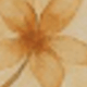 Floral Terracotta