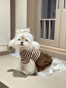 1 件宠物服装，快乐狗连衣裙，皮革条纹裙，春夏款式，舒适面料 - 巧克力棕 - 查看 8