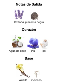 Lattafa Parfum - Multicolore - Voir 2
