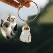 Clear Cat Fur Keepsake Charm - Portable Memorial Keychain For Pet Lovers, Customizable Cat Hair Jewelry Gift - Trong sáng - Xem 1