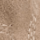 kaki2501