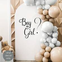 性别揭示派对墙贴，庆祝背景装饰创意字母贴纸 - 彩色 - 查看 9