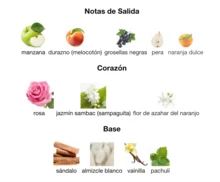 Lattafa Perfume - Multicolor - View 3