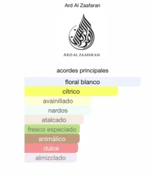 Lattafa Perfume - Multicolorido - Ver 2