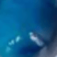 Pendientes de cuentas azules de ojo de tigre
