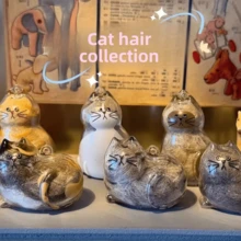 (Under $1) Limited Time Low Price – Cat Hair Storage Bag Charm – Capsule Shape, Transparent & Lightweight, Practical For Bags & Shows Love For Cats