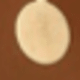 彩色