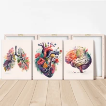 3 件现代艺术帆布墙饰套装 - 带花卉装饰的解剖心脏、大脑和肺，帆布水彩画，适用于客厅、卧室、家庭办公室 - 帆布画（带框）礼物生日毕业 - 多色 - 查看 10