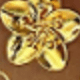 Dorado