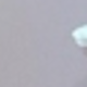 矽膠