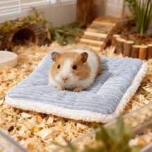 1 件 S/M 方形条纹/豆冰丝凉爽/温暖仓鼠松鼠滑翔窝床，适合全年小型宠物，不可机洗 - 彩色 - 查看 4