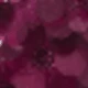 Red Plum