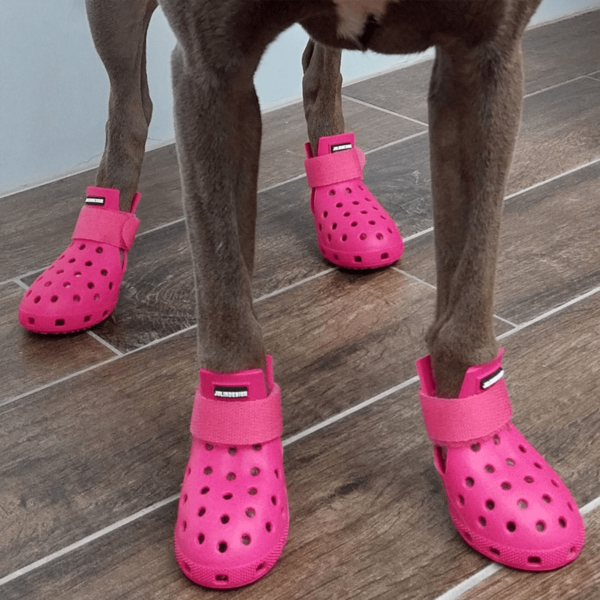 Zapatos de moda para mascotas - Suministros para perros, transpirables, impermeables, antideslizantes con suelas suaves y elásticas para proteger las patas en todas las estaciones, cómodos para tu perro feliz