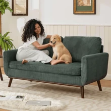Tbfit 65" Corduroy Couch For Living Room, Mid Century Modern Loveseat Sofa With Spring Cusions For Bedroom, Small Comfy Upholstered Love Seat Easy Assembly With Solid Wood Legs & 2 Pillows, Green - 65吋綠色 - 查看 2