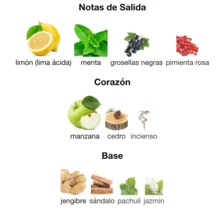 Afnan Perfume - Multicolorido - Ver 3