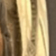 Vàng