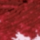Alfombra roja